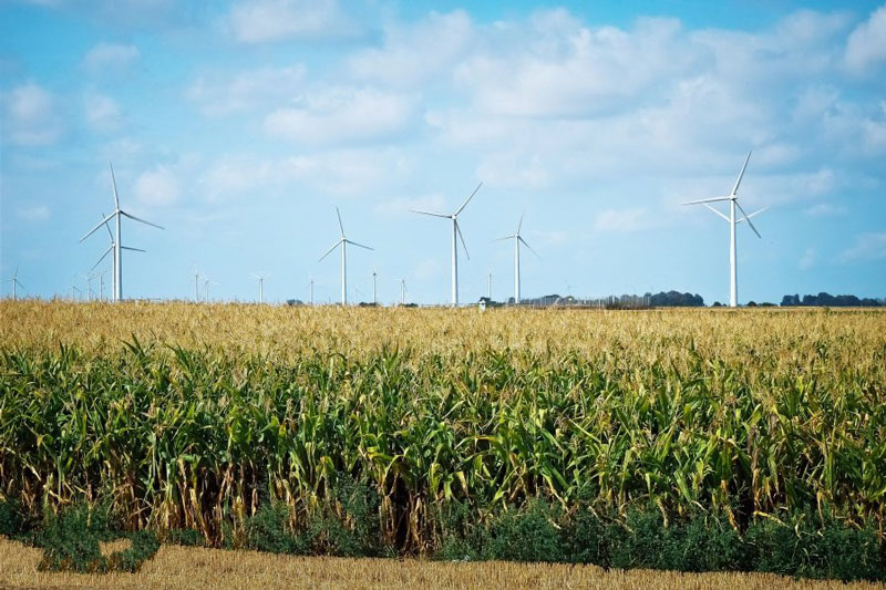 物聯(lián)網(wǎng)助力智能農(nóng)業(yè) 物聯(lián)網(wǎng)助力智能農(nóng)業(yè)